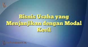 Bisnis Usaha yang Menjanjikan dengan Modal Kecil