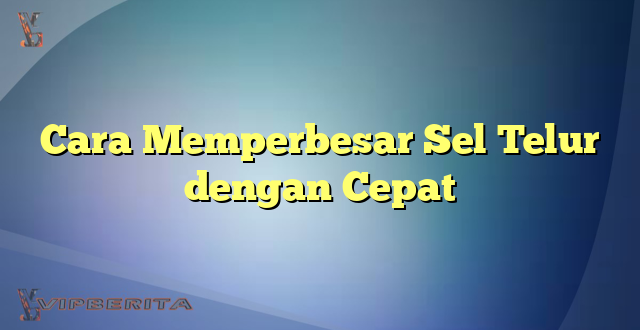 Cara Memperbesar Sel Telur dengan Cepat