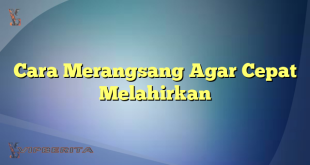 Cara Merangsang Agar Cepat Melahirkan