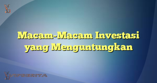 Macam-Macam Investasi yang Menguntungkan