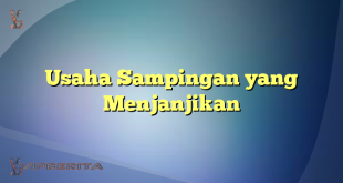 Usaha Sampingan yang Menjanjikan