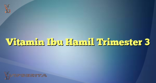 Vitamin Ibu Hamil Trimester 3